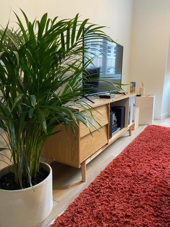 La Palmeraie - Appartement Classe 4 Etoiles - Hyper Centre Ville Quimper Buitenkant foto